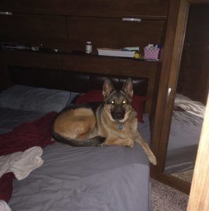 Meet your Posher, William